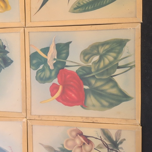 Vintage Floral Art Prints Set of 8 - Picture 8 of 10